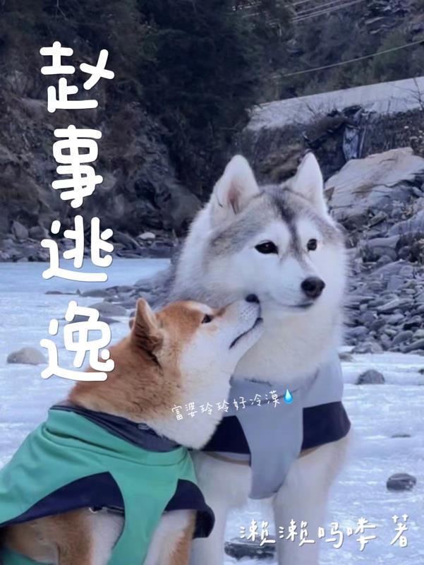 逃逸事件