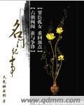 名门纪事穿越推荐
