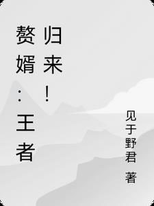 赘婿王者归来