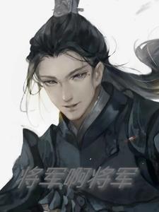 将军啊将军歌词完整版