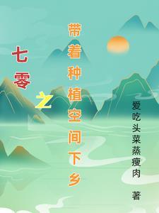 七零带种植空间下乡作者飞萱