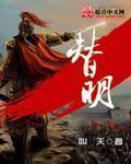 替明星之皇