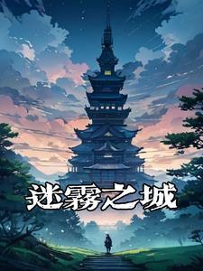 国家行动迷雾之城电视剧免费观看
