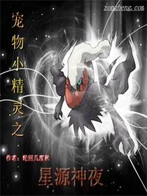 宠物小精灵之星宇