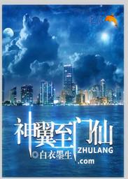神翼专用是什么意思