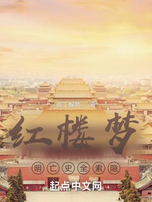红楼梦明制