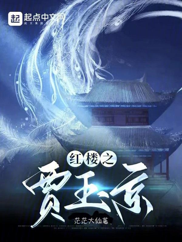 红楼之贾珂