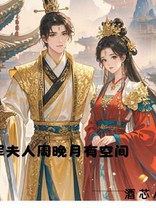 将军夫人日常