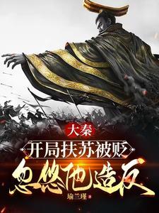 扶苏赵惊鸿小说叫什么名字