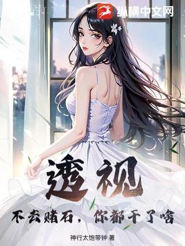 赌石透视眼