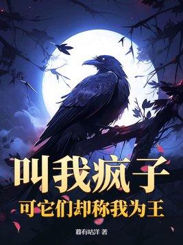 我是疯子请别叫我傻子是什么歌