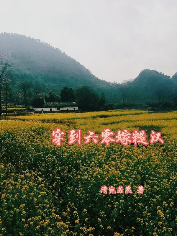 穿到六零后