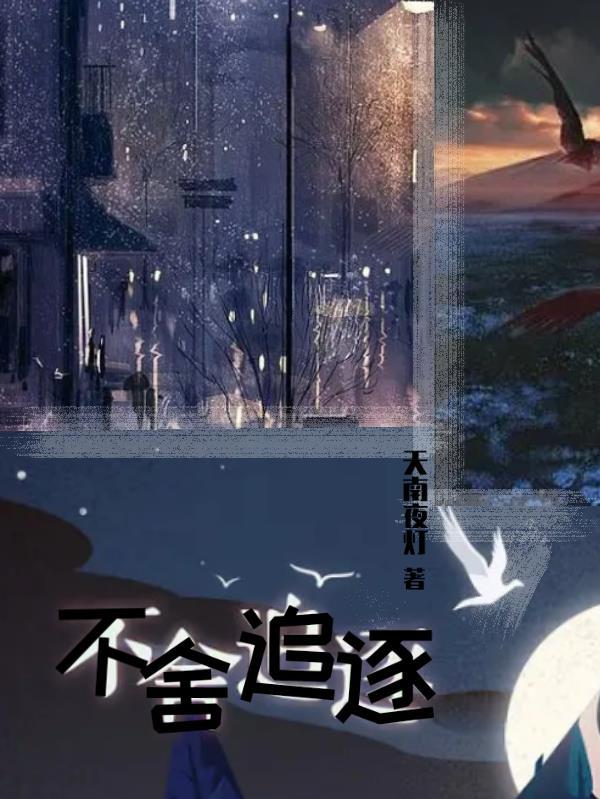 不舍的追求