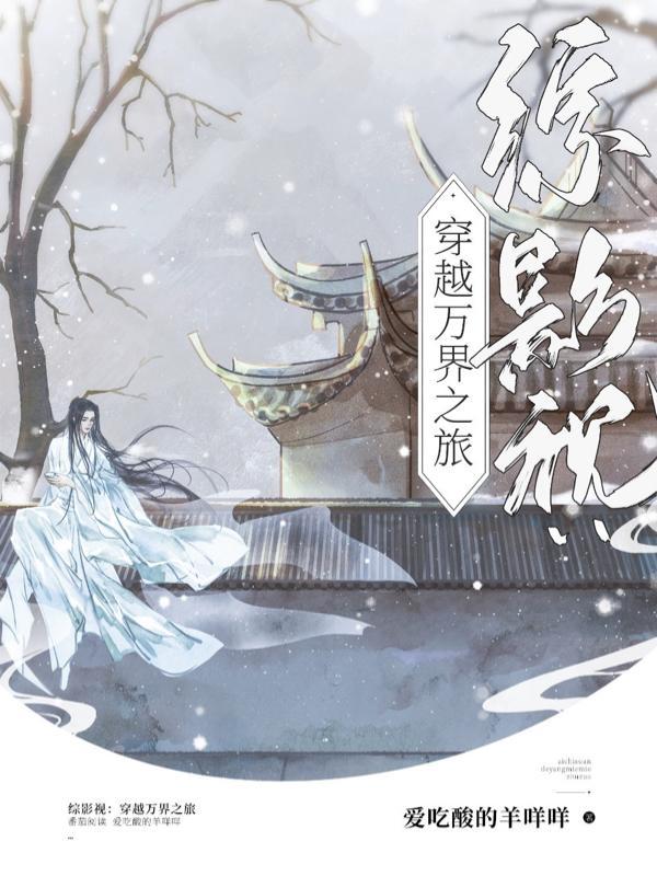 综穿影视之综影视