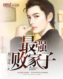 最强败家子系统全集