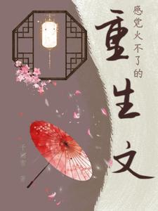 很火的重生文