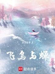 飞鸟与蝉是哪个电视剧的歌