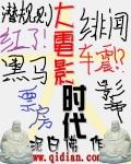 大电影时代 聚合中文网