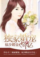 权少的独家宠爱