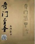 奇门圣医作者