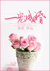 一宠成婚gl百度
