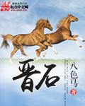 晋石高速公路龙湖段规划图