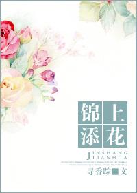 锦上添花红包版