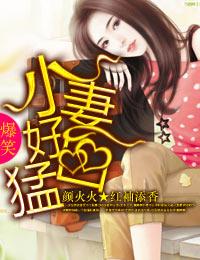 小妻不好惹全文免费