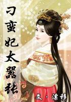 刁蛮王妃ii