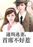 通缉小逃妻