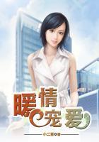 暖情宠爱书籍