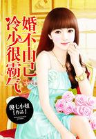 婚不由己冷少宠妻成瘾