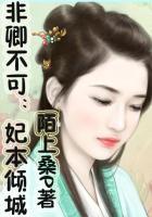 非卿不可简介