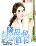 总裁的迷途小妻子