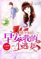 婚令如山撩妻boss霸道宠免费阅读