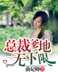总裁爹地在线等
