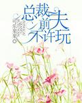 总裁前夫不许玩 TXT