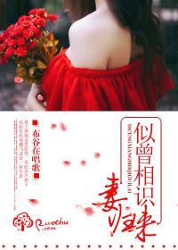 似曾相识下一句
