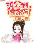 相公们饶命啊全文免费阅读