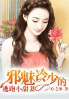 冷少狠邪魅难逃霸爱