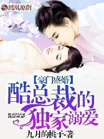 豪门盛婚酷总裁的独家溺爱 第3章