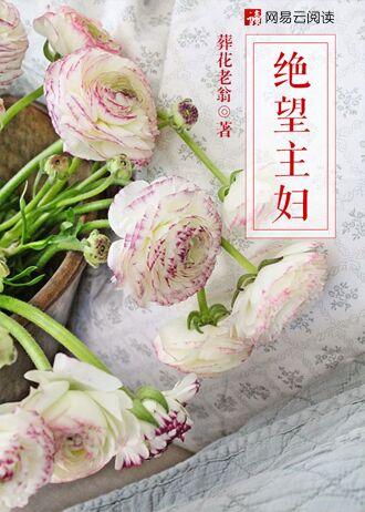 绝望主妇第三季剧情介绍