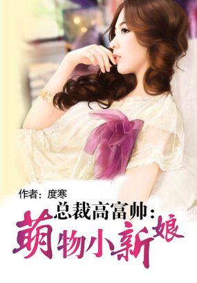总裁的小萌物