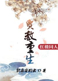 红楼之贾赦求婚