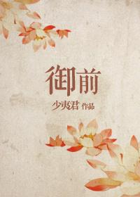 御前侍卫总管是几品