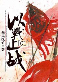 以战止战gltxt