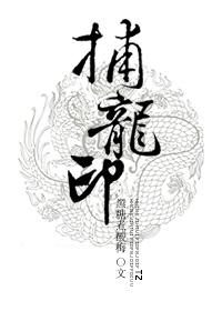 捕龙印 聚合中文网