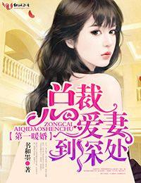 暖婚蜜爱总裁老公一宠成瘾