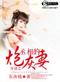 穿越成丞相的炮前妻