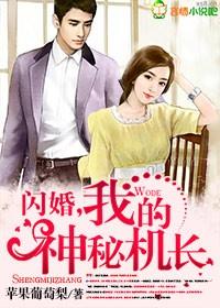 闪婚神秘老公百度百科